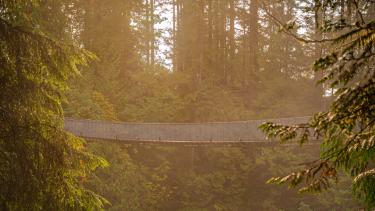 Sunrise light at the famous Capilano Suspension Bridge Park on a foggy morning, suspended walking bridge in middle of forest, North Vancouver, British Columbia, Canada.